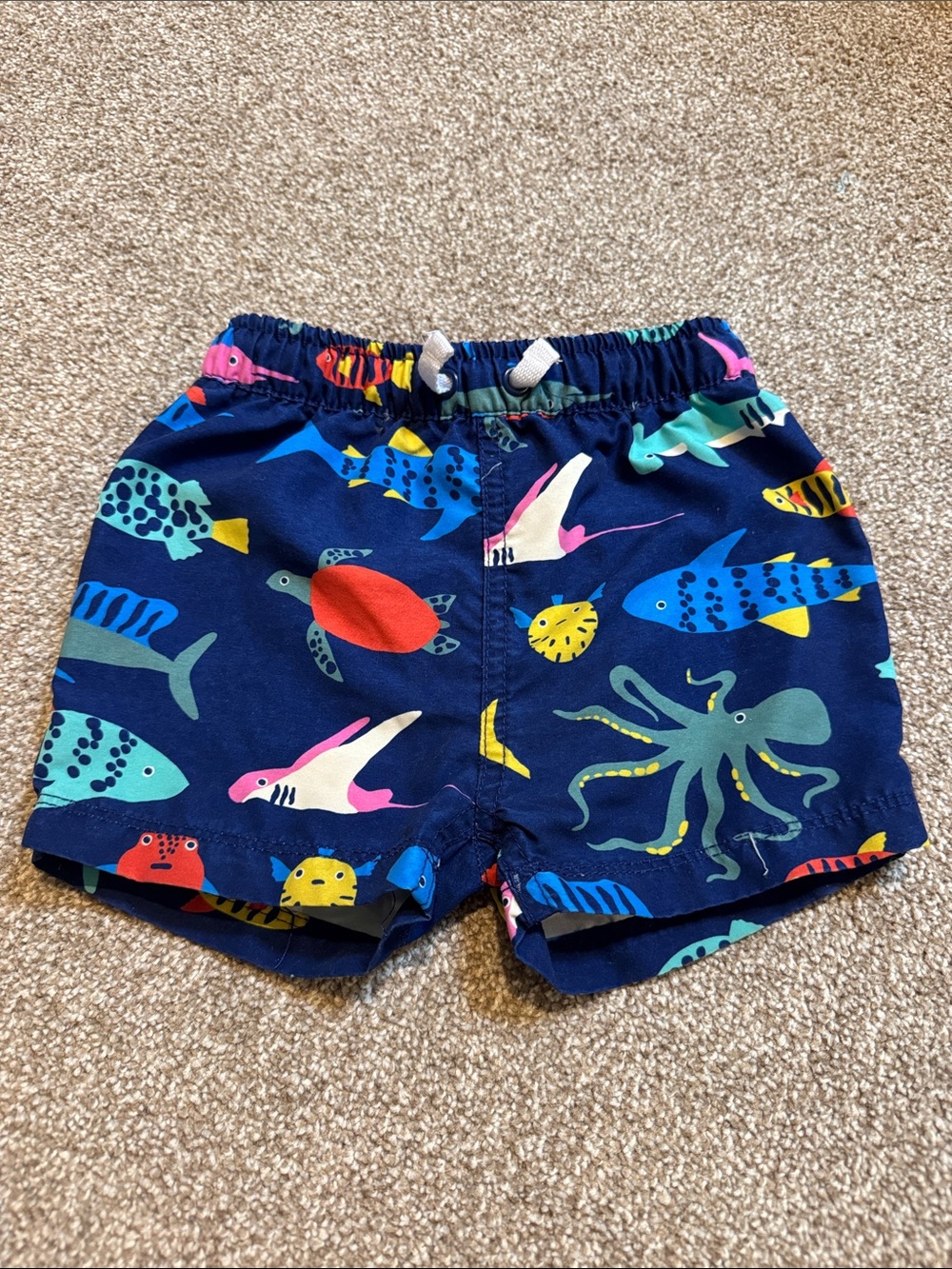 Hanna Andersson Swim Trunks 2T
